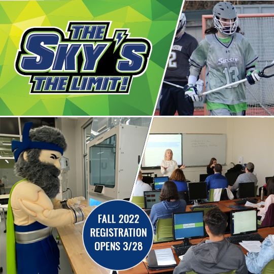 Our Skylander mascot, a lacrosse athlete, and a classroom shot. Words that read The Sky's the Limit.