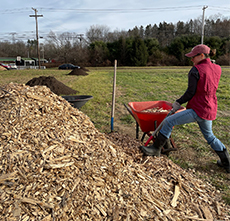 A student digs a pile of mulch out of a red wheelbarrow.