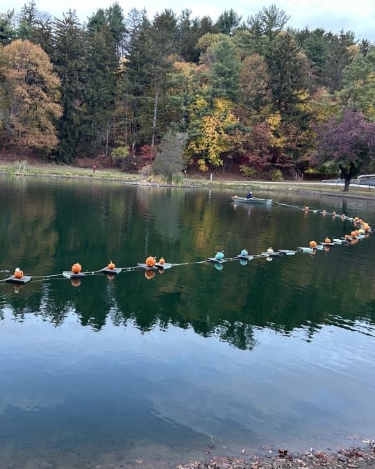 LACE Annual Pumpkin Float